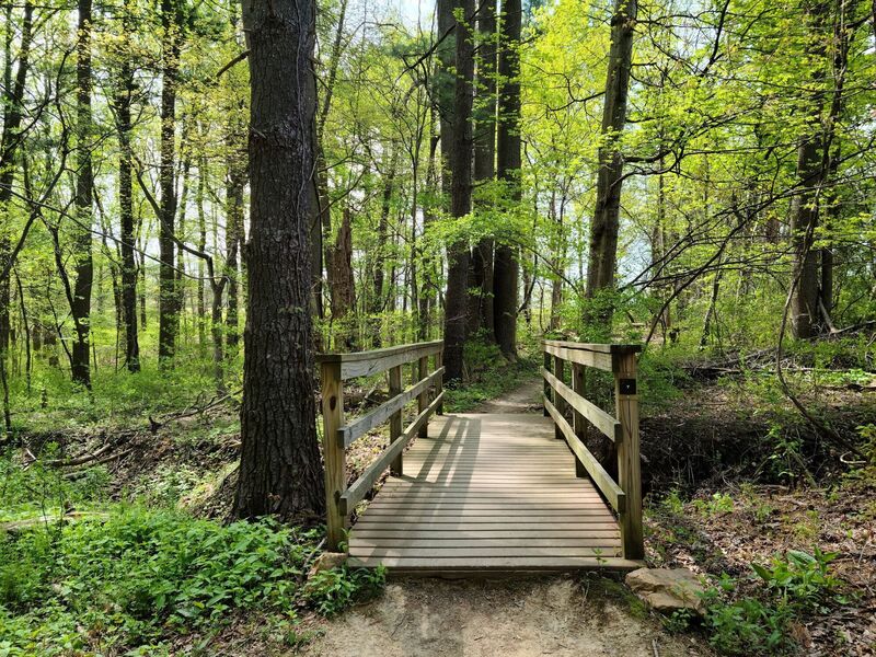 Wood bridge is a sign to entry or exit.