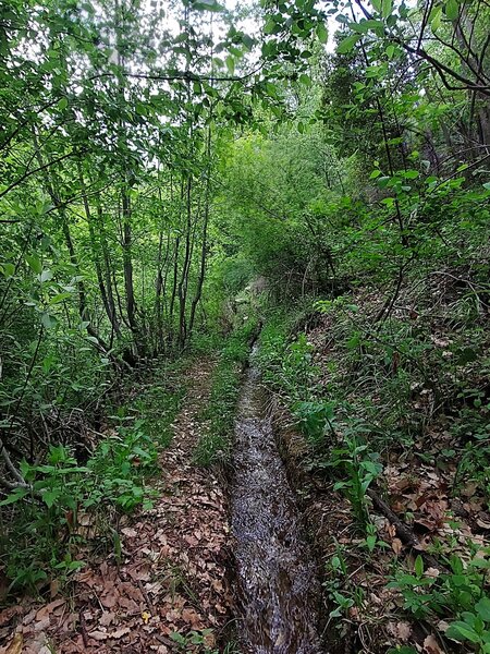 Following the waterway.