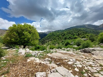 View of Horsh Ehden