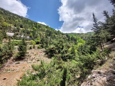 Valley Below