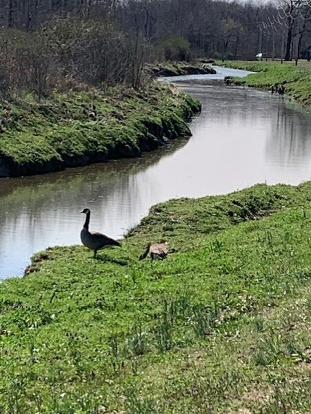 Tucker Creek Trail