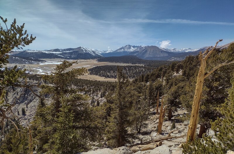 Nearest mountains - Mount Anna Mills, 12,054 ft. (center right), and Mt. Goyot, 12,300 ft. (center left, gray face). Far distance are mountains of the Great Western Divide. Seen looking west-northwest from the PCT high on the Siberian Outpost ridge.