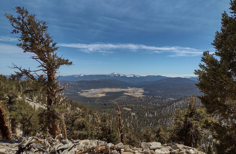 Big Whitney Meadow is seen below, with Kern Peak, 11,510 ft. (center), behind it. Looking south into the distance from the Siberian Outpost ridge stretch of the PCT.