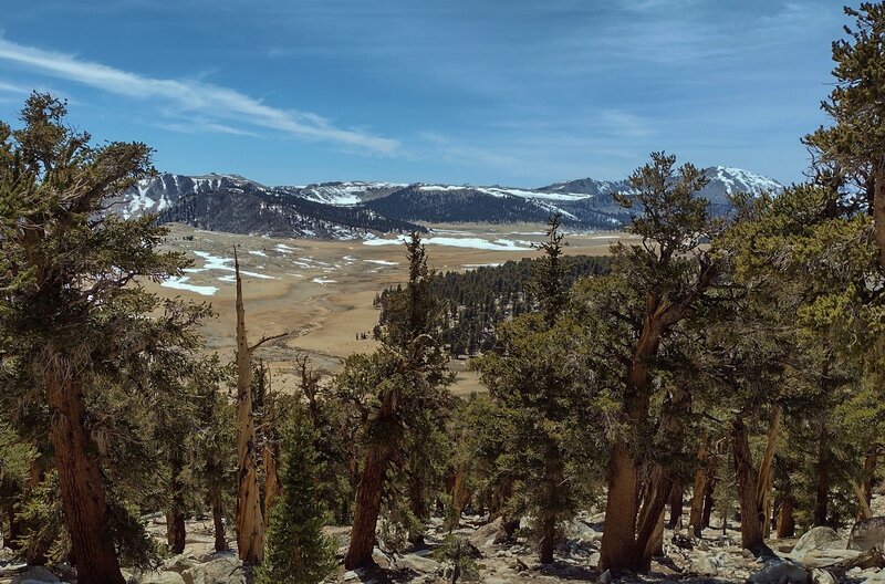 Meadows and mountains of the Golden Trout Wilderness are seen looking west-southwest from high on the Siberian Outpost ridge. Mount Anna Mills, 12,054 ft., is peeking out between the trees on the right.