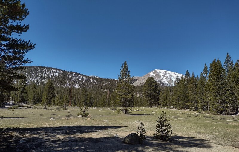 Meadows and Mount Anna Mills, 12,054 ft., seen to the west-southwest from the PCT on the Siberian Outpost ridge, on a crisp early May day.