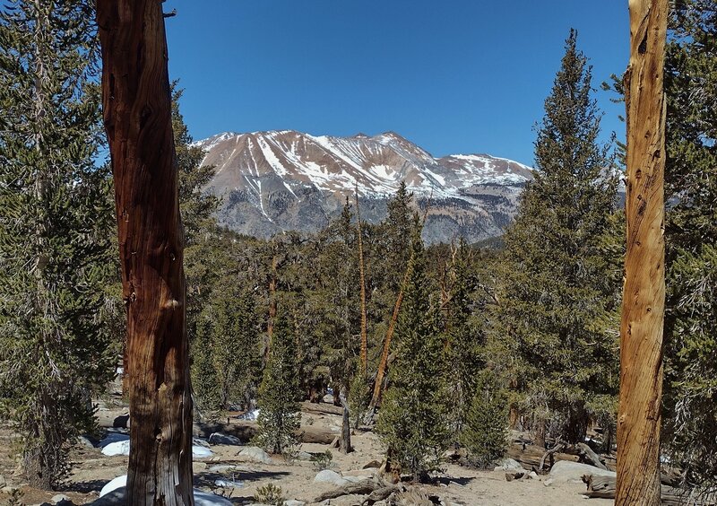 Red Spur is seen to the west-northwest from high on the north side of Guyot Pass. The cliffs of Kern Canyon drop off in front of Red Spur. Not seen, the Kern River runs in the deep canyon below.