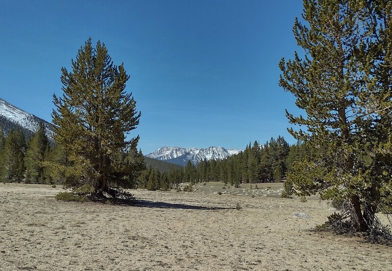 Snowy east side walls/sides of the Chagoopa Plateau rise out Kern Canyon (not visible), far in the distance, looking southwest from the PCT near Crabtree Meadows.