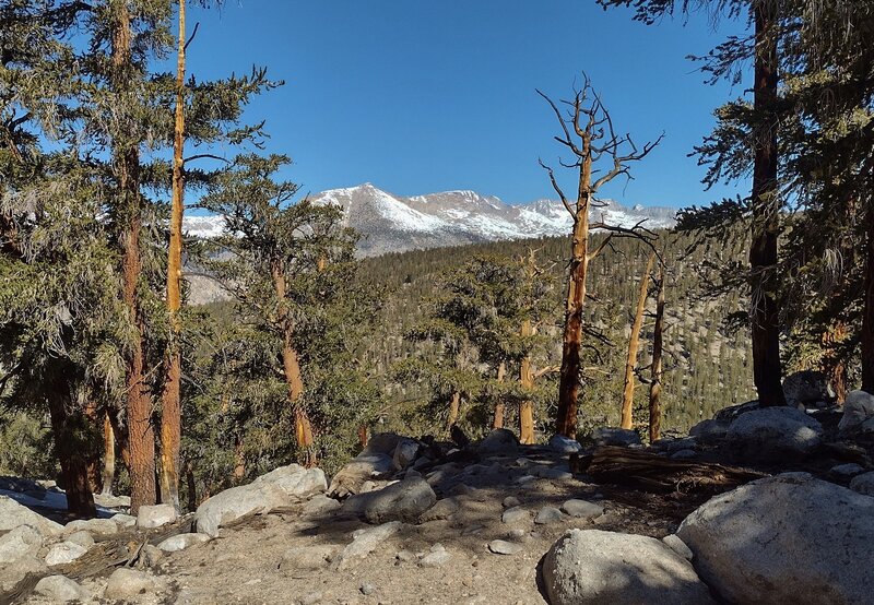 Kern Point, 12,789 ft., (center) is part of a ridge on the far side of Kern Canyon, seen to the northwest on the PCT near Crabtree Meadows.