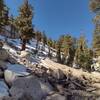 Patchy snow on the climb out of Crabtree Meadows, going south on the PCT in early May.