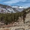 Wallace Creek cascades down this valley to empty into the Kern River.  Far in the distance left to right, are The Kaweahs and Lawson Peak, with Picket Guard Peak the rightmost peak, slightly closer. Seen looking west-southwest down Wallace Creek valley.