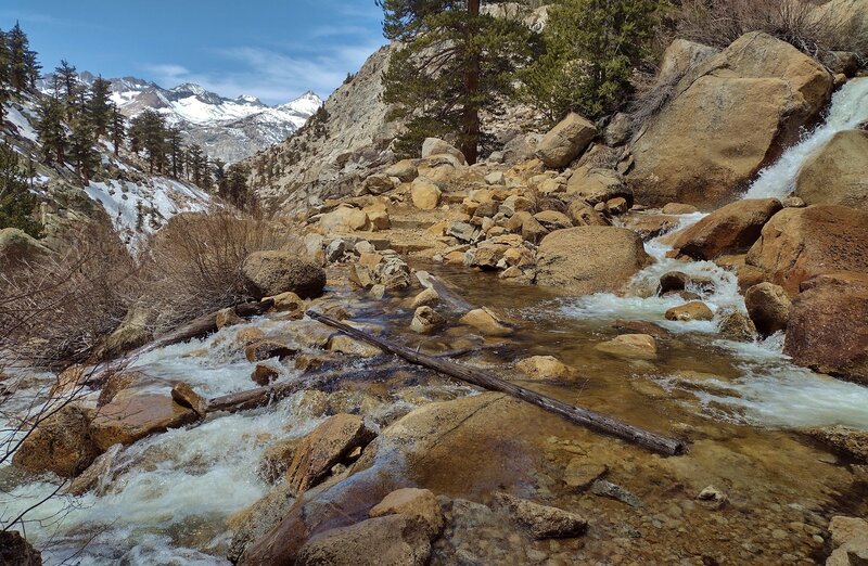 Wright Creek cascades vigorously across the trail with snow melt in early May, on its way to empty into Wallace Creek.