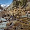 Wright Creek cascades vigorously across the trail with snow melt in early May, on its way to empty into Wallace Creek.