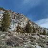 An impressive, lengthy wall on the north side of the trail up Wallace Creek. This stretch of the wall is 1,000 ft. high.