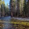 Evening along the Kern River at Junction Meadow trail camp, a lovely place to spend the night.