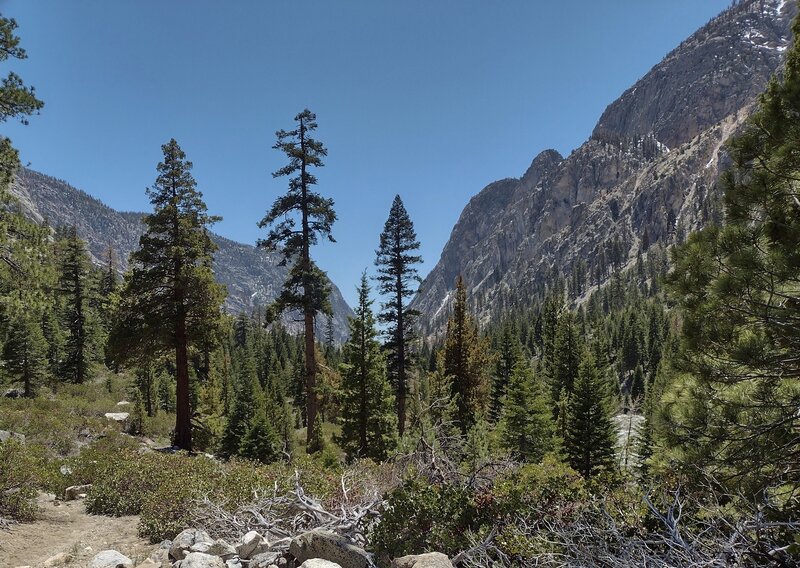 Looking north/upstream along the Kern River at the bottom of Kern Canyon, on a beautiful early May afternoon.