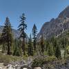 Looking north/upstream along the Kern River at the bottom of Kern Canyon, on a beautiful early May afternoon.