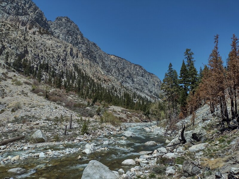 Along the wild and beautiful Kern River at the bottom of Kern Canyon, deep in the Sequoia National Park backcountry.