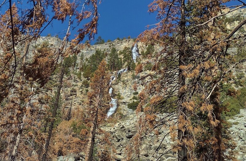 Chagoopa Falls plunges off 1,200 foot cliffs to land in the Kern River below on the Kern Canyon floor.