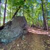 15 foot basalt boulder along the trail.