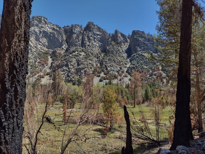 Spring green valley bottom of Kern Canyon, and 1,500 foot east bank cliffs.  The Kern River (not visible) is on the far side of the meadows here.