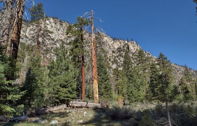 2,500 foot cliffs of the west wall of Kern Canyon near the Lower Kern Bridge.