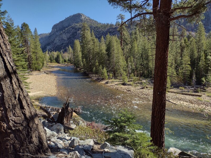 The beautiful Kern River on a perfect early May morning, just north of the Lower Kern Bridge.