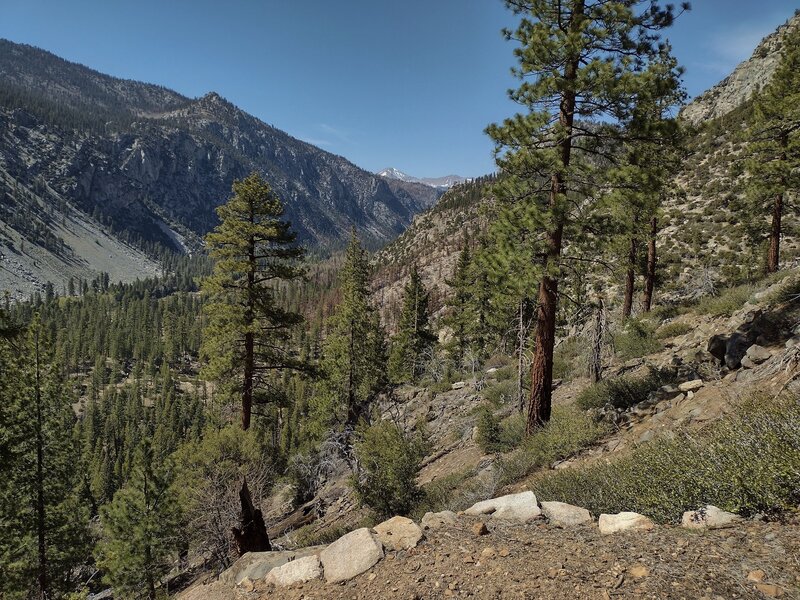 Looking up Kern Canyon from the switchbacks on the east side of the canyon, that take Golden Trout Creek Trail down to the Kern River at the canyon bottom.