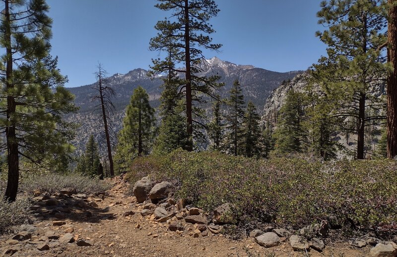 Thw west side of Kern Canyon is seen through the trees in the distance as the trail heads down the switchbacks to the canyon bottom and Kern River.