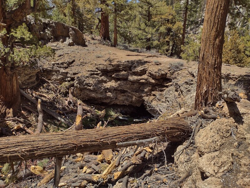 The Natural Bridge (center).  The trail crosses Malpais Creek that empties into Golden Trout Creek, on the Natural Bridge, as the creek goes through the dark hole under the bridge.