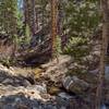 The South Fork Kern River flowing through a wooded area, has its beginnings in the high meadows and forested hills of Golden Trout Wilderness.