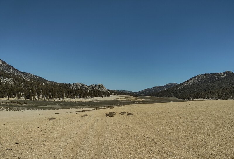 Bullfrog Meadow ahead to the west-southwest on Trail Pass Trail.