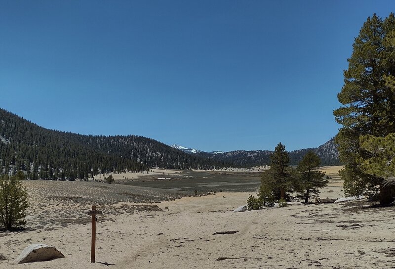 Mulkey Meadows ahead. Kern Peak, 11,510 ft., in the center is trying to hide behind nearby forested hills. Seen looking southwest at the Trail Pass/Mulkey Meadows Trail junction in early May.