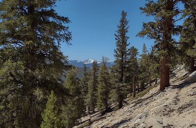 Kern Peak, 11,501 ft. (center), is in the distance to the southwest when descending the south side of Trail Pass.