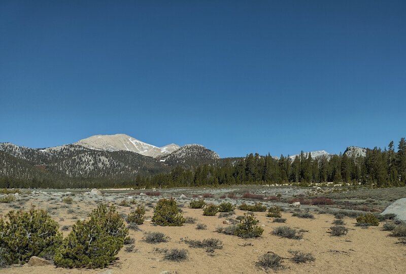 Crossing Horseshoe Meadow on Trail Pass Trail.