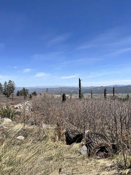 Fire damage, the valley, and Pike's Peak