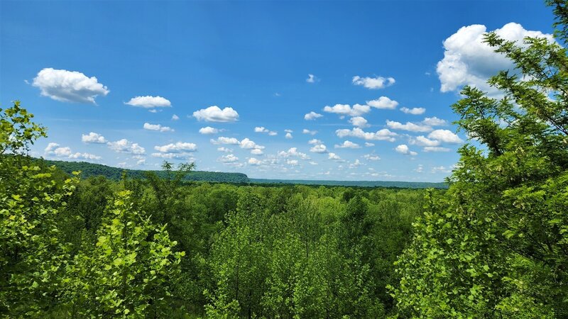 View from the trail