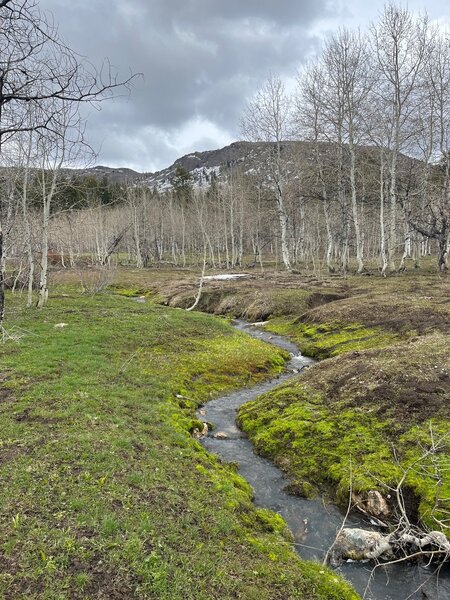 A babbling brook along the Upper Box Canyon Trail.