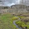 A babbling brook along the Upper Box Canyon Trail.