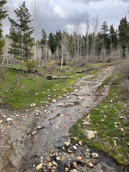 A beautiful stream inundates the  Valve House trail.