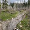 A beautiful stream inundates the  Valve House trail.