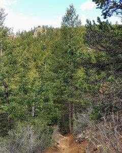 Trail narrows