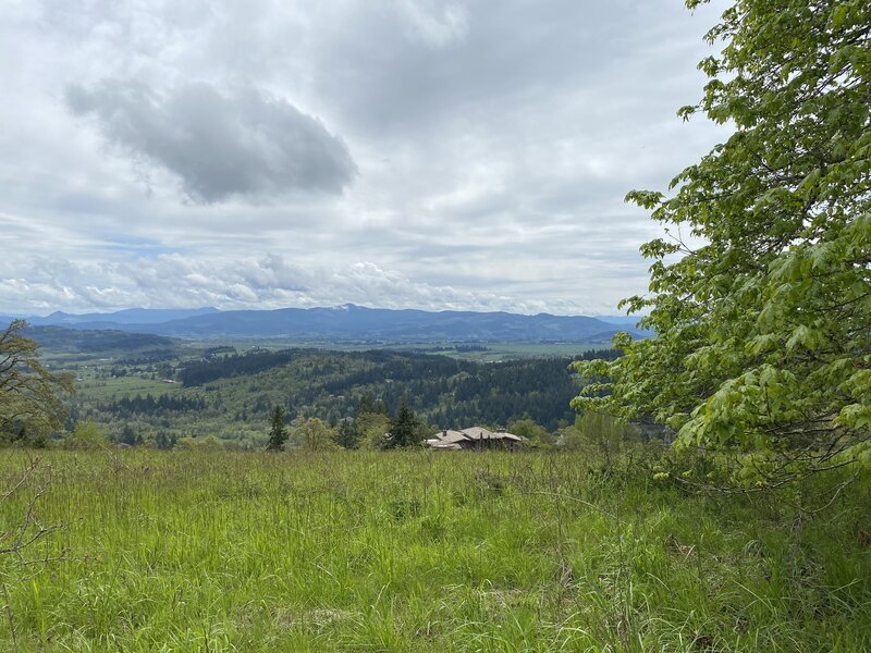 View to the SE of Creswell and Camas Swale