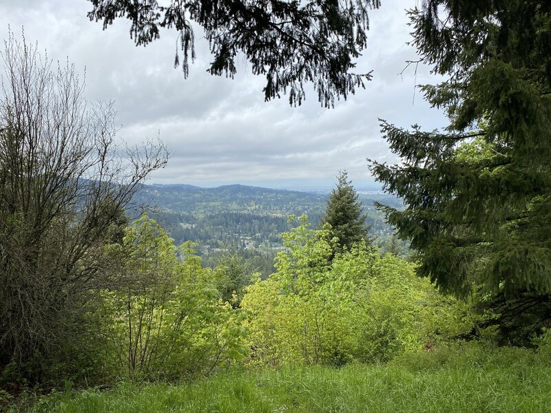 View to the NW of West Eugene