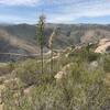 Clevinger Canyon in spring just after reaching the ridge. Agave flower shoots are the tallest plant in this area.