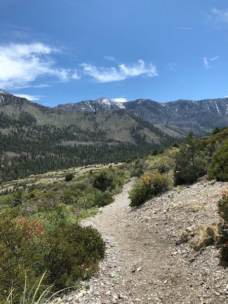 Eagle's Nest Loop, lower loop on the return.