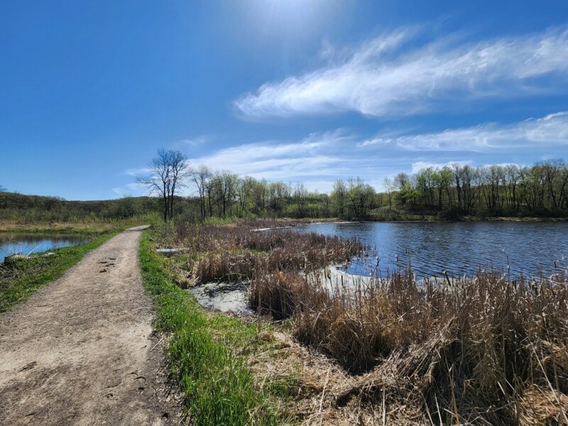 Crossing the causeway on the Big Woods Loop Trail.