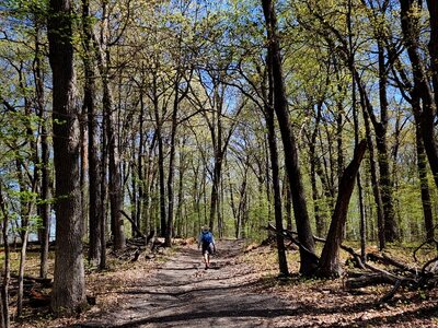On the Big Woods Loop Trail near Camper Cabin #1