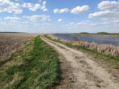 The trail take you right through the wetlands.