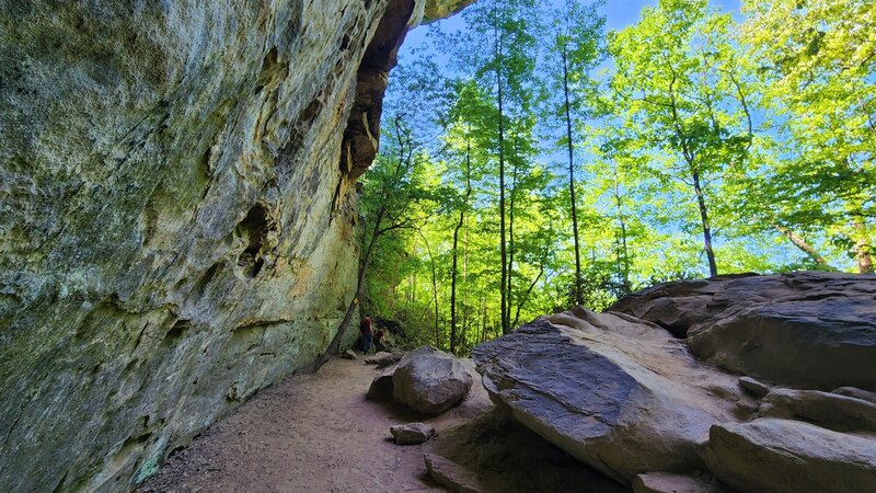 View from the trail