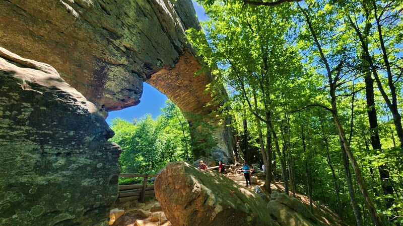 View from the trail.